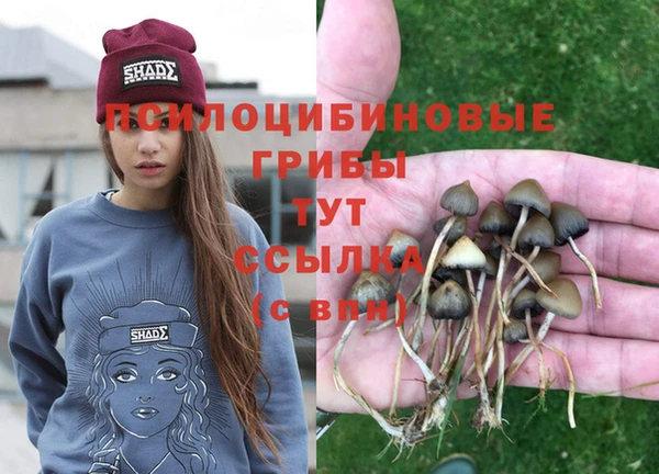 каннабис Абдулино