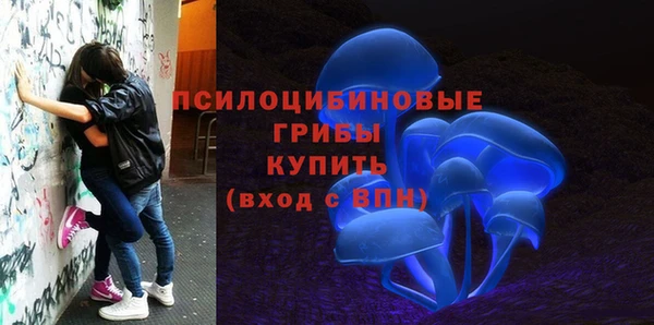 гашик Абаза