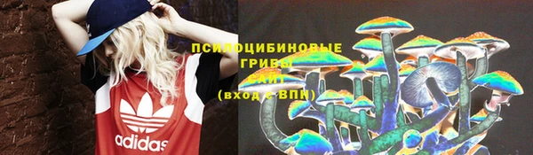 ПСИЛОЦИБИНОВЫЕ ГРИБЫ Алзамай